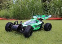 BULL 4WD EP Buggy 1:10