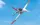 Arrows RC - Avanti - 50mm EDF - PNP mit Vector System