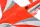 Arrows RC - Avanti - 50mm EDF - PNP mit Vector System